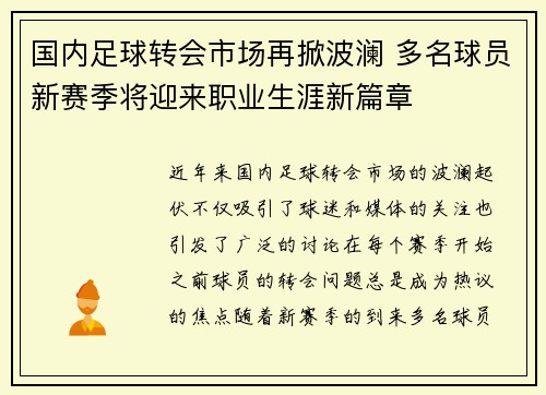 国内足球转会市场再掀波澜 多名球员新赛季将迎来职业生涯新篇章