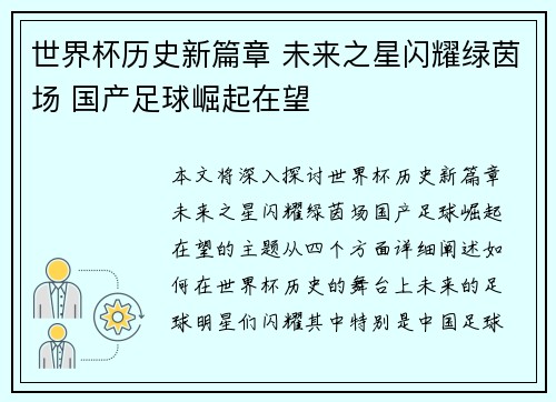 世界杯历史新篇章 未来之星闪耀绿茵场 国产足球崛起在望